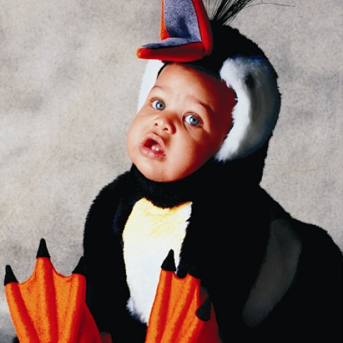 Pingwin